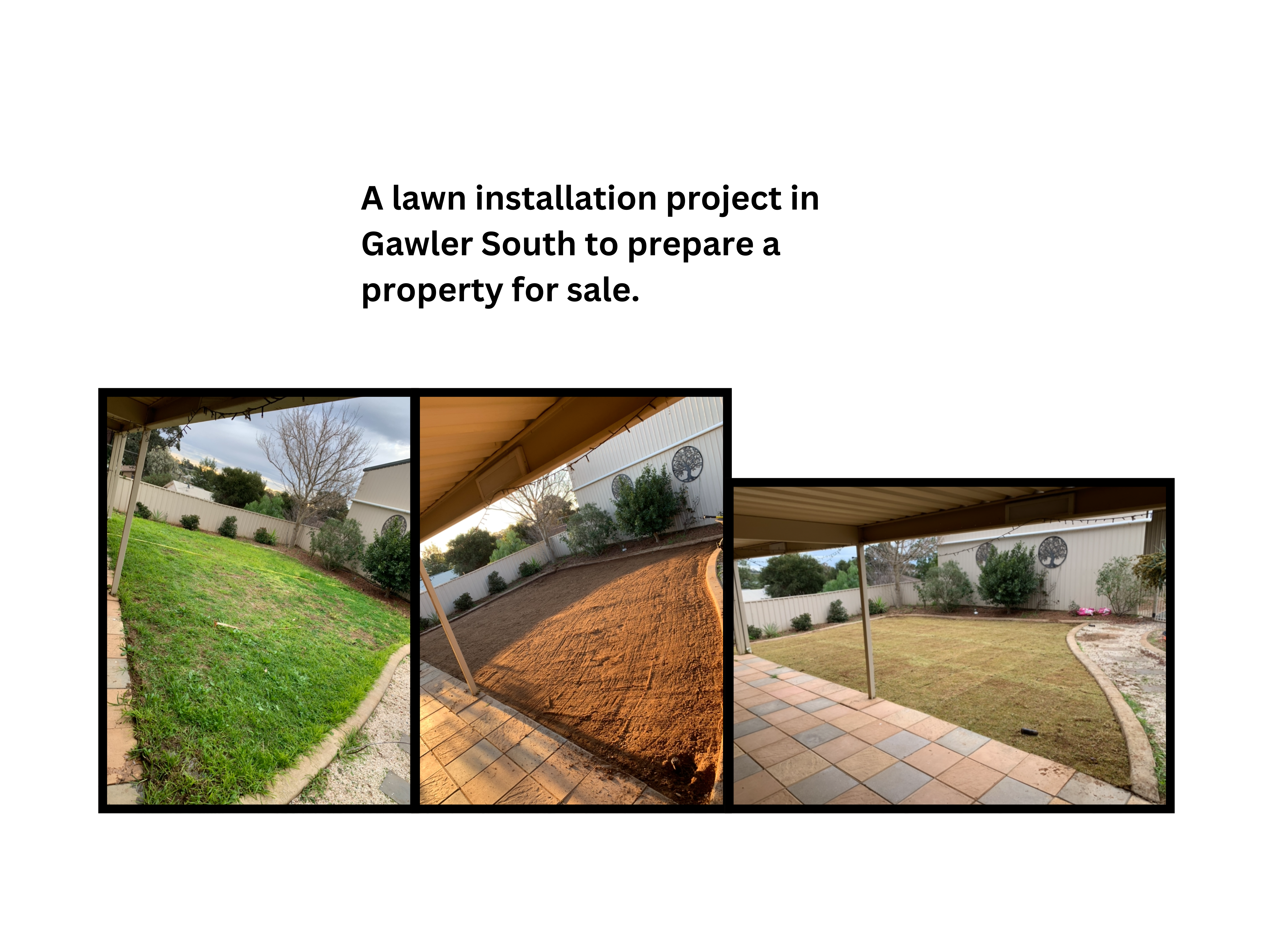a display of 3 images showing how we transformed the backyard of a property in Gawler from a dug up mess to a fresh level lawn
