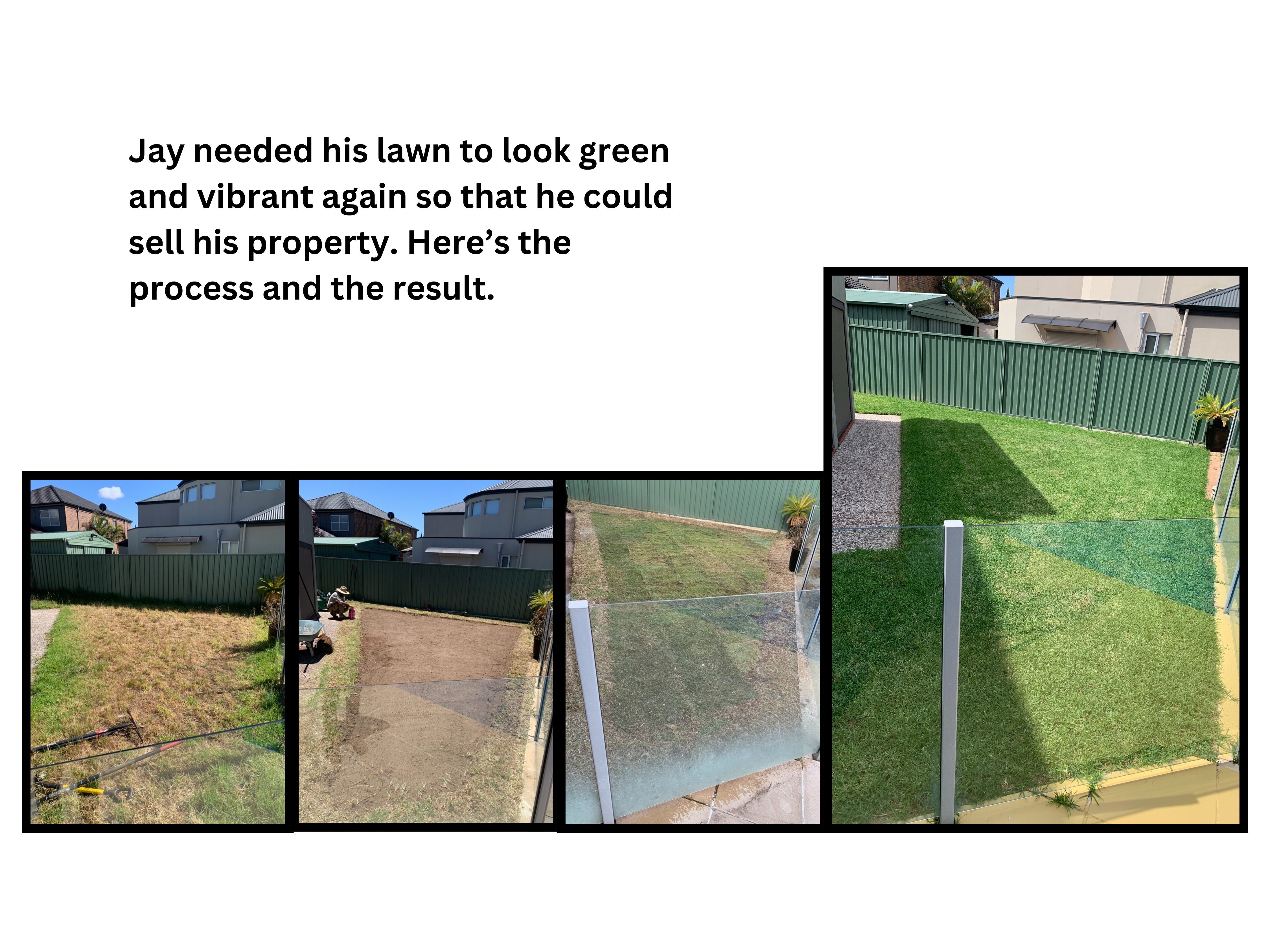Four images showing the process of how we transformed our customer's shaggy lawn into a vibrant green turf. This was in Mawson Lakes Adelaide